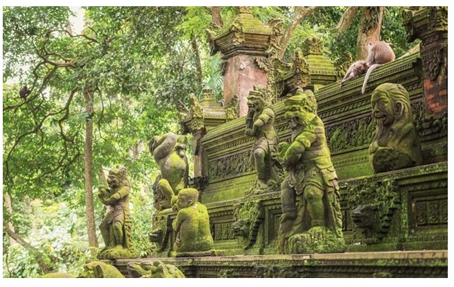 BALI, Malisie - photo 7